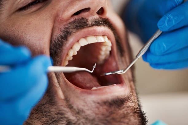 Professional Holistic Dental Care Services in Falls Creek, PA